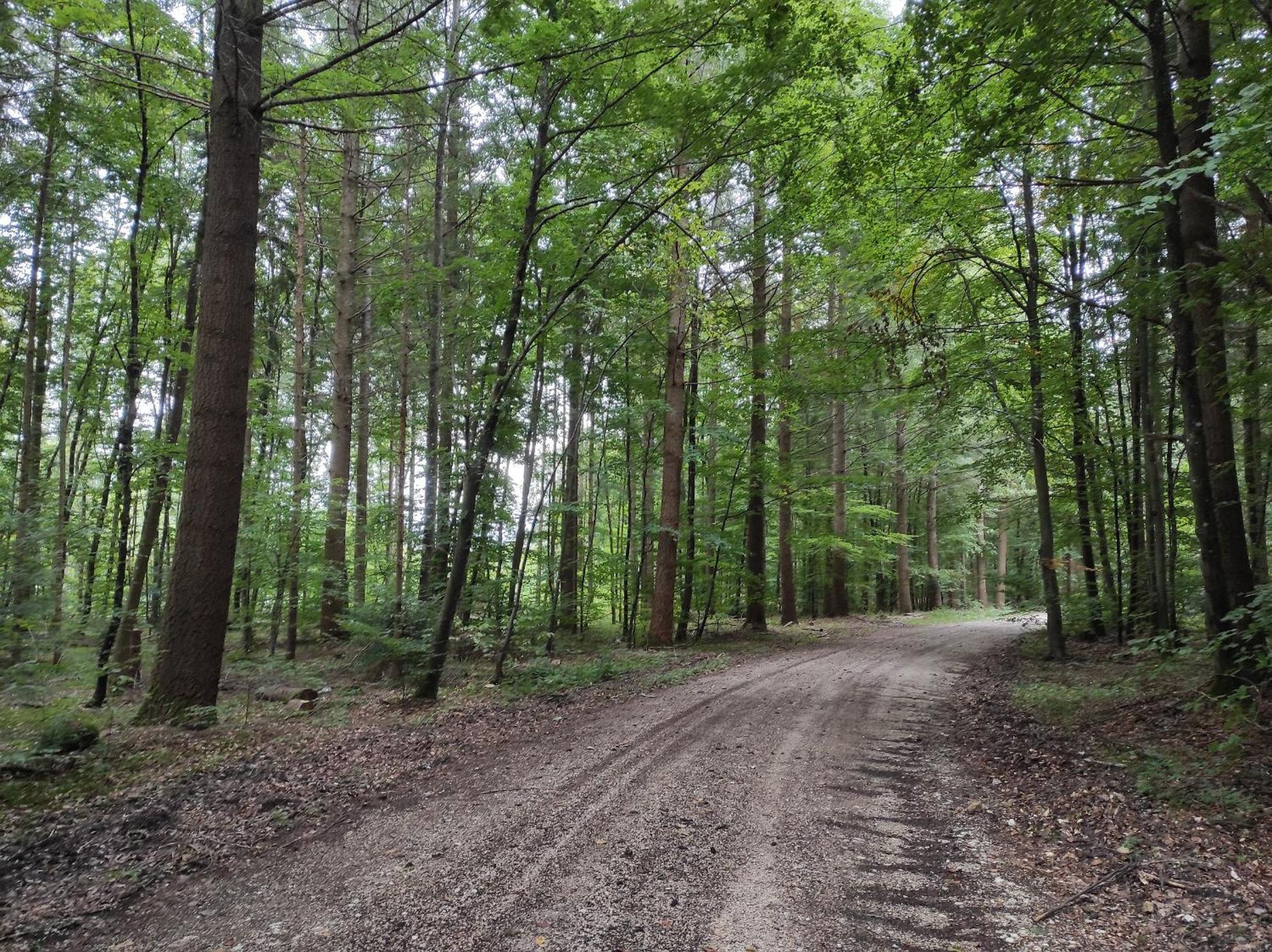 Ferienwohnung Am Hof Zwiefalten Buitenkant foto